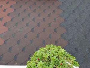 فروش شینگل و تخته OSB در استان گیلان