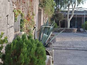 کلاس حرفه‌ای اسب‌سواری نوجوان در کرمان 