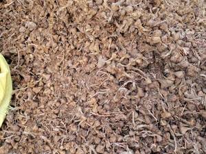 قیمت زعفران نگین صادراتی در اهواز