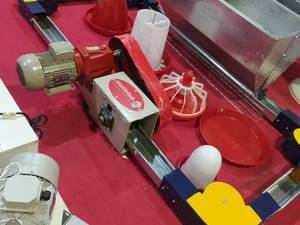 خرید و قیمت دانخوری زنجیری در دماوند