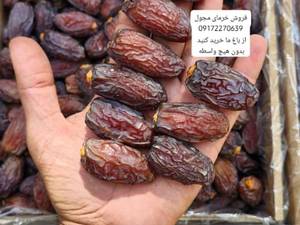 قیمت خرمای مجول درجه یک در اقلید