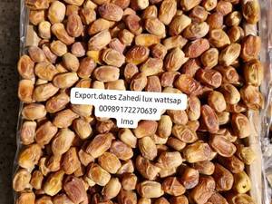 خرید عمده خرمای زاهدی درجه یک قیروکارزین 