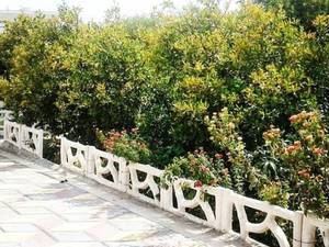 انواع نرده دور باغچه در اهواز