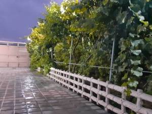 انواع نرده دور باغچه در اهواز