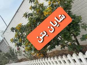 انواع نرده دور باغچه در اهواز