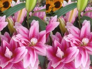 دسته گل ترکیبی لیلیوم و رز لاکچری