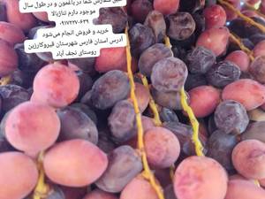 فروش خرمای خاصوی در فارس قیروکارزین