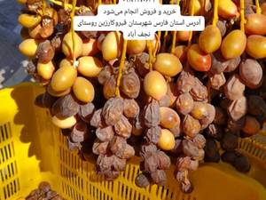 فروش خرمای خاصوی با کیفیت بالا در قیروکارزین