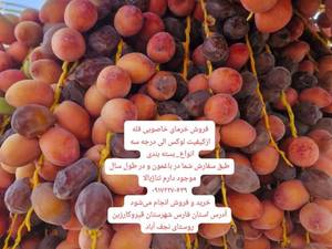 فروش خرمای خاصوی با کیفیت بالا در قیروکارزین