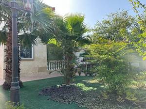 خرید زمین و ویلا ساحلی چاف