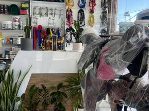 قیمت مکمل حیوانات خانگی خارجی در شهربابک