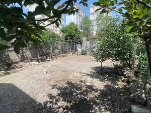 ویلای ارزان نزدیک دریا در چاف و چمخاله