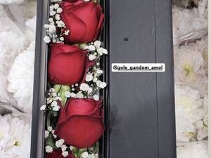 باکس گل در آمل