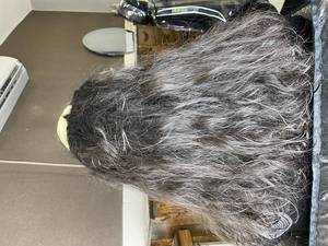 موخوره گیری بدون کوتاهی در اراک