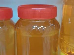 فروش عسل طبیعی در ساری