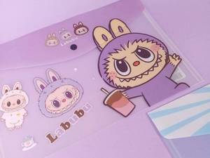 قیمت پوشه دکمه دار طرح لبوبو در رشت