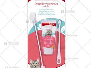 ست مسواک و خمیر دندان گربه با طعم پنیر بایولاین
