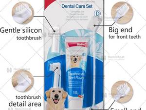 ست مسواک و خمیردندان مخصوص سگ بایولاین با طعم گوشت حجم 100 گرم