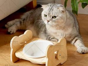 ظرف غذای پایه‌دار لونا سرامیکی پایه چوبی