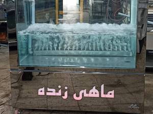 خرید و قیمت آکواریوم پرورش ماهی