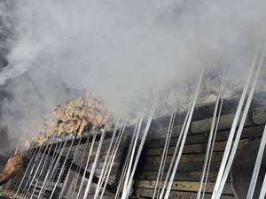 بهترین رستوران ایلام