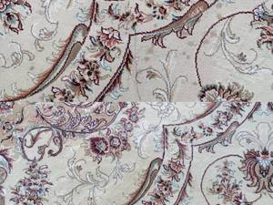 قالیشویی مکانیزه در فومن