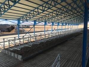 تولید کننده فری استایل دام صنعت در تهران