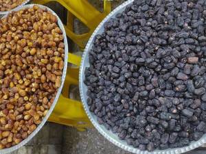 مرکز فروش عمده خشکبار