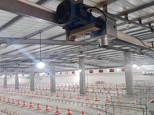 خرید و سفارش قفس مرغ تخمگذار ارزان با کیفیت