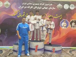 مسابقات جهانی کاراته،مسابقات جهانی شوتوکان کاراته