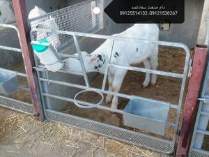 تولید و خرید درب باکس گوساله