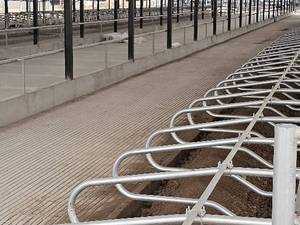 اجرای فری استال دامداری در قزوین