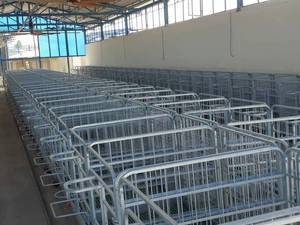 قیمت باکس نگهداری گوساله در تهران