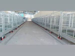 قیمت باکس نگهداری گوساله در تهران