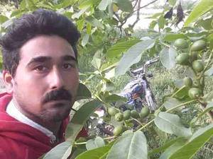 اصلاح نژاد درختان میوه