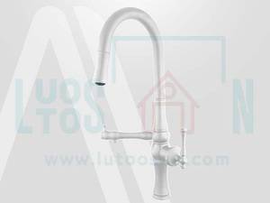 شیر ظرفشویی دومنظوره شاوری البرز روز مدل لوانته