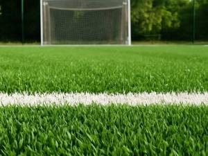 فروش چمن مصنوعی در فارس شیراز