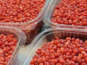 تولید کننده زرشک لوکس در ایران