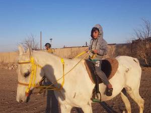 آموزش سوارکاری آقایان در رفسنجان