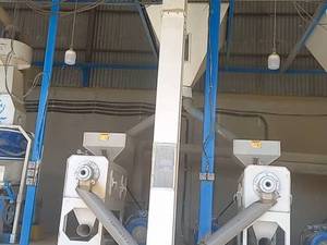 شالیکوبی تخصصی در شمال کشور در بابل