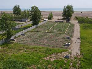 خرید زمین مسکونی ساحلی در چاف لنگرود