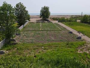 خرید زمین مسکونی ساحلی در چاف لنگرود