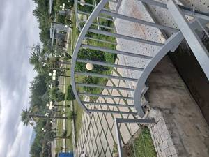 فروش گل آپارتمانی و محوطه سازی