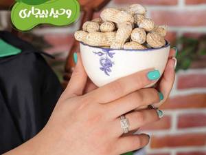 پخش عمده بادام زمینی تازه در رشت