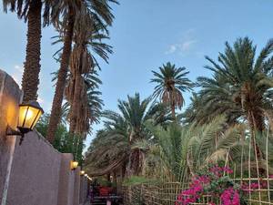 اجاره بومگردی کرمان