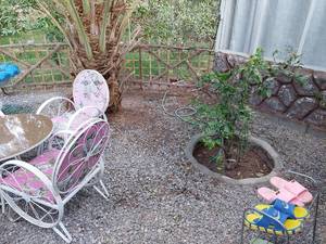 اجاره بومگردی کرمان