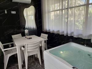 اجاره ویلا دوبلکس با جکوزی در کرمان