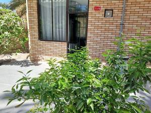 اجاره ویلا دوبلکس با جکوزی در کرمان