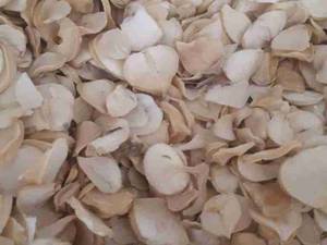 انواع ادویه جات