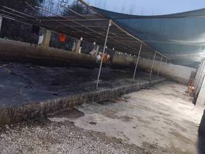 قیمت شستشوی تشک خوشخواب در رشت